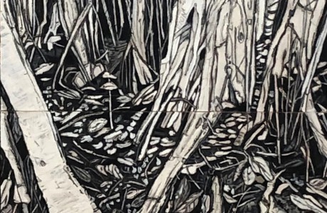 Banyan Tree in Florida with Red - 41x30.5 cm